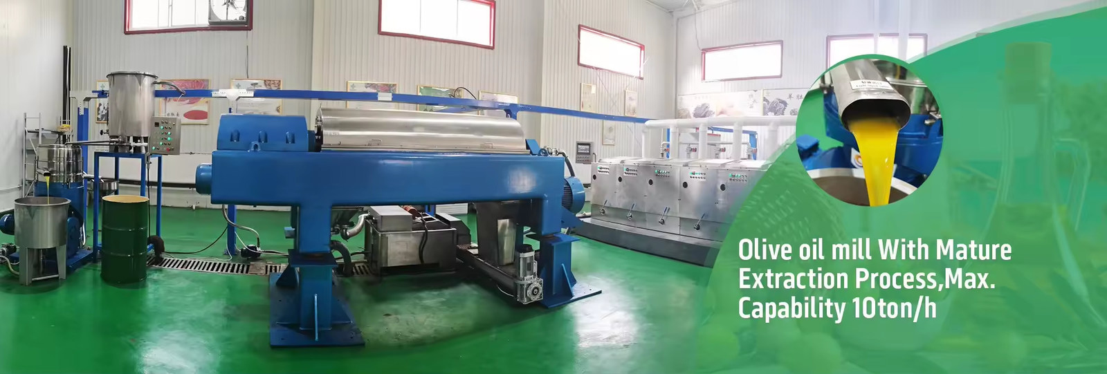 Machine à l'huile d'avocat