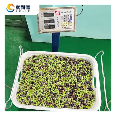 Machine d'extraction par centrifugeuse pour la ligne d'extraction d'huile d'olive EVOO-250 250 kg/h