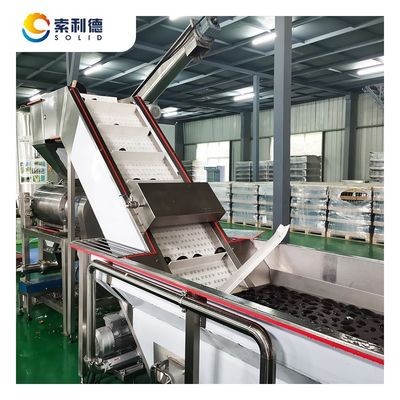 Centrifugeuse d'extraction de l'huile d'avocat presse machine pour la production d'huile extra vierge 5T/H