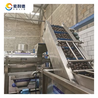 Machine d'extraction d'huile d'avocat de grande capacité de 200 kg/h avec centrifugeuse à décanter à deux phases