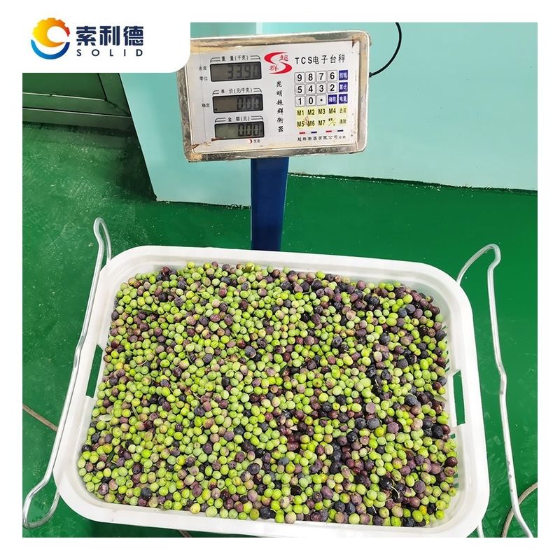 Machine d'extraction d'huile d'olive à haute teneur en huile 13,5% EVOO-500 à séparation en 2 phases