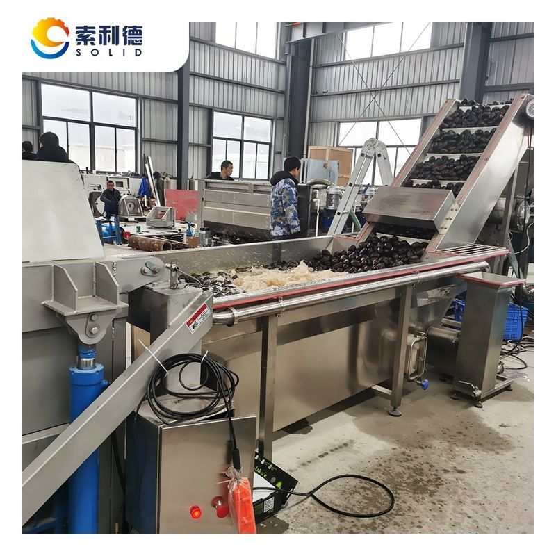 5-6T/H Centrifugeuse Extraction Avocado Machine d'extraction de l'huile d'avocat avec les graines et l'élimination de la peau
