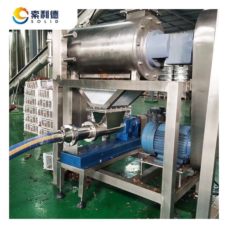 Machine de pressage à froid pour l'huile d'avocat de 1000 kg/h avec extraction par centrifugeuse pour l'huile extra vierge