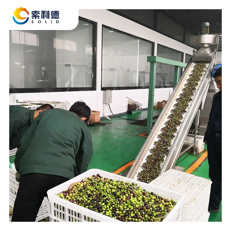 130kw de puissance EVOO-5000 5000KG/H usine de transformation d'huile d'olive extra vierge pour le pétrole