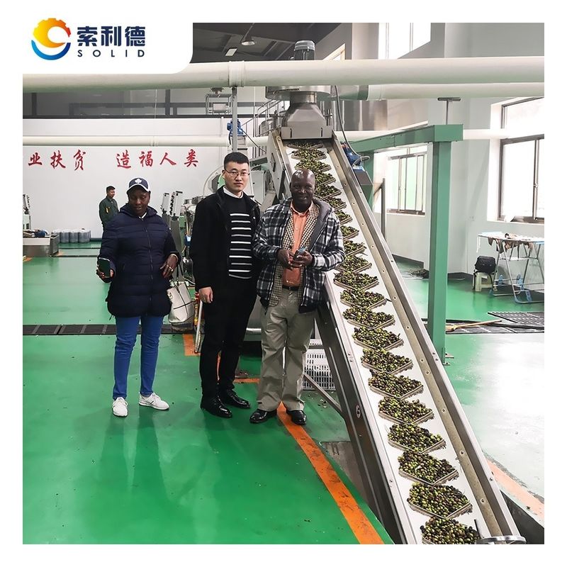 Améliorez votre ligne de production d'huile d'olive avec la machine d'extraction centrifugeuse 24*4*6M